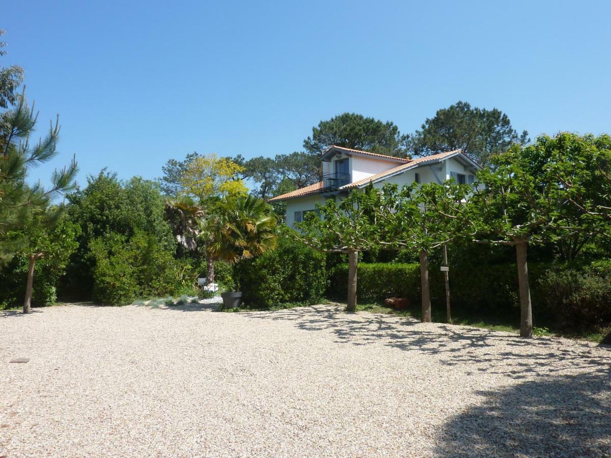 La Cabane D'Arbolateia Piscine & Spa Bidart Exteriér fotografie
